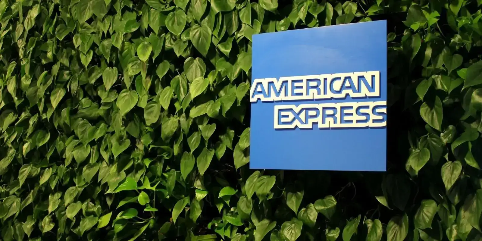 American Express Off Campus Drive 2024